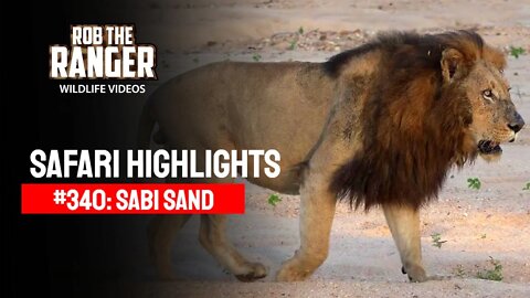 Safari Highlights #340: 30 Apr - 03 May 2015 | Sabi Sand Nature Reserve | Latest Wildlife Sightings