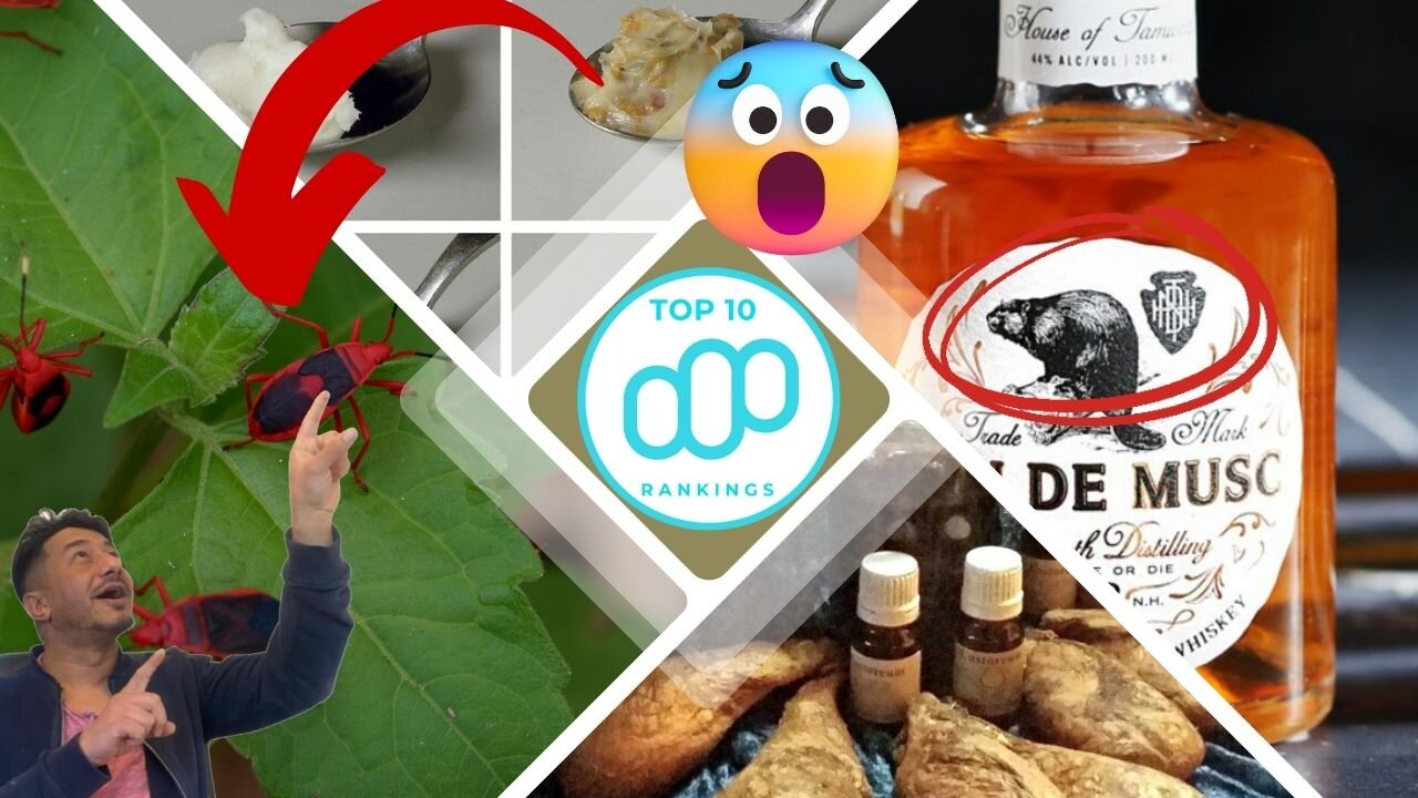 Top 10 Every Day Things Made With Animal By Products - The Facts You Need To Know #top10rankings