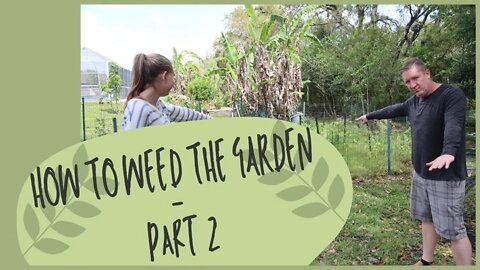 How to Weed the Garden - Part 2