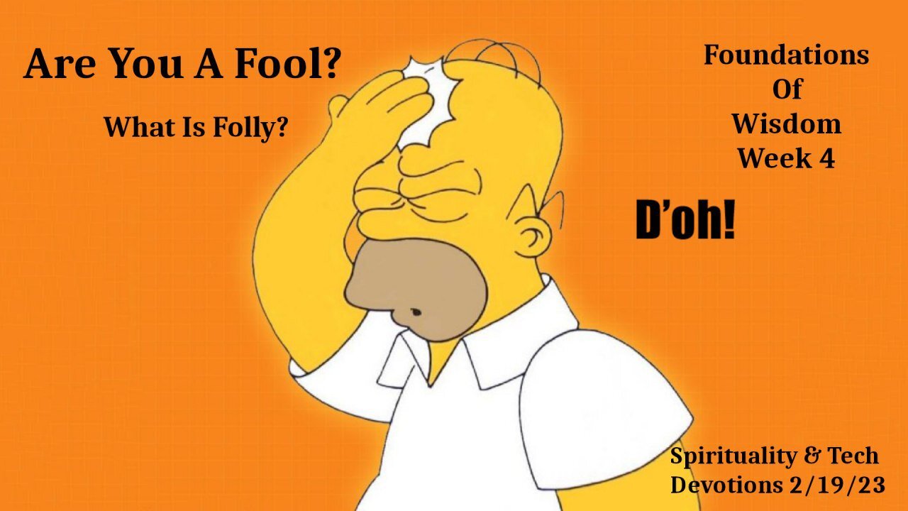 Wisdom 4 Promo: What is Folly?