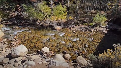 Buck Naked at Buckeye Springs