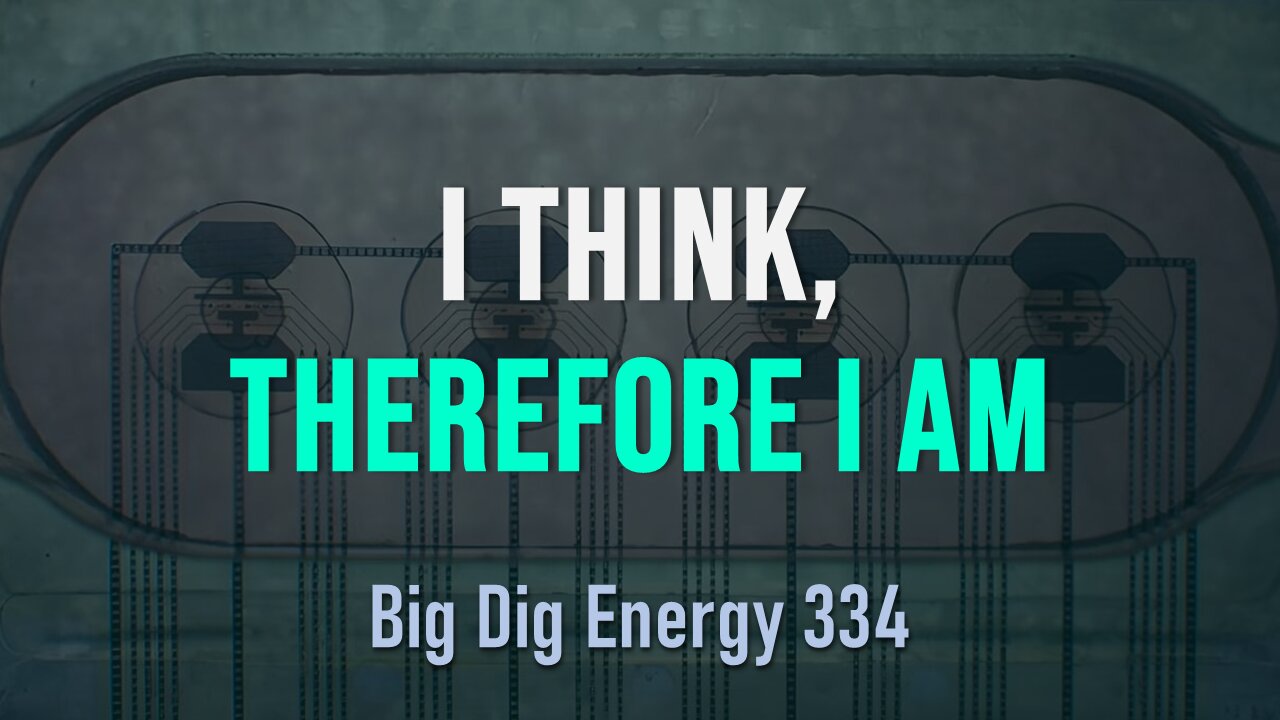 Big Dig Energy 334: I Think, Therefore I Am