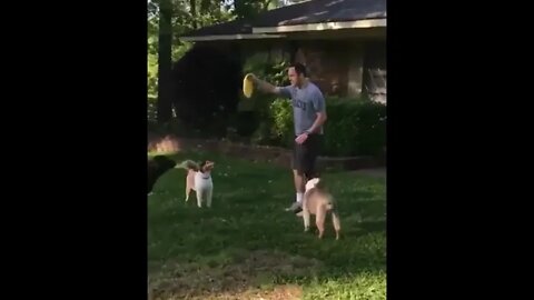 Let’s see you pretend to throw the frisbee NOW, Kevin!