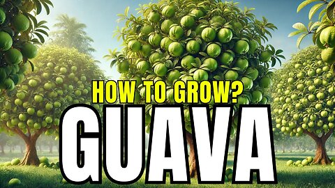 How to Grow Guava at Home: A Complete Guide for Beginners