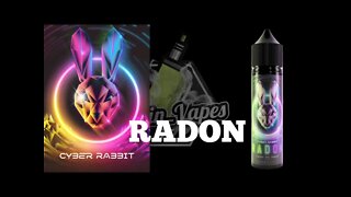 CYBER RABBIT - RADON