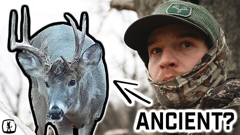 ANCIENT WHITETAILS with TEAM RADICAL