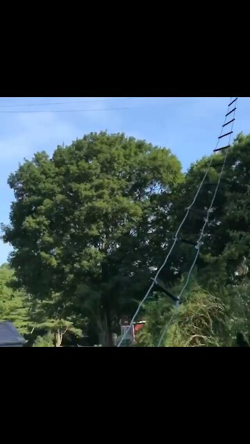 T3FD 120 foot antennas tune everywhere