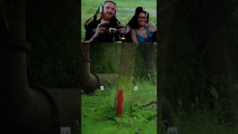 Giving the tree the business in Stray