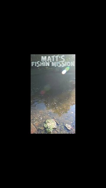 Crushing Smallmouth (short version)