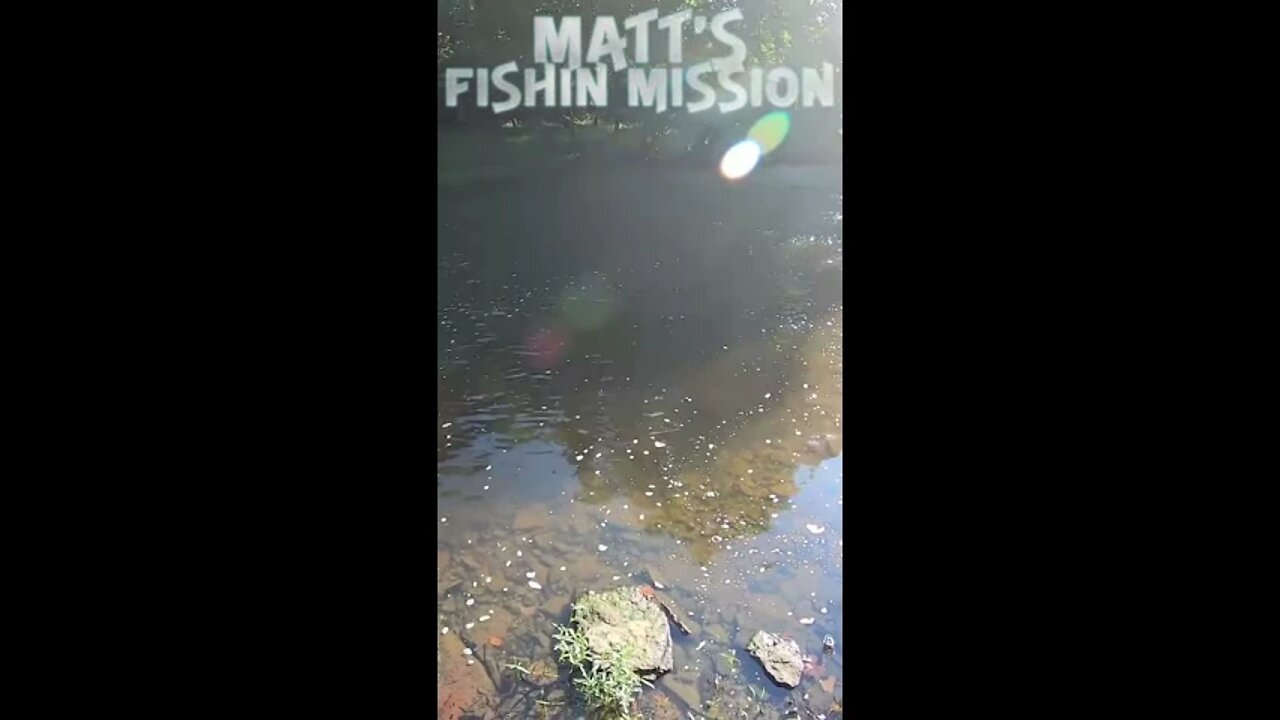 Crushing Smallmouth (short version)