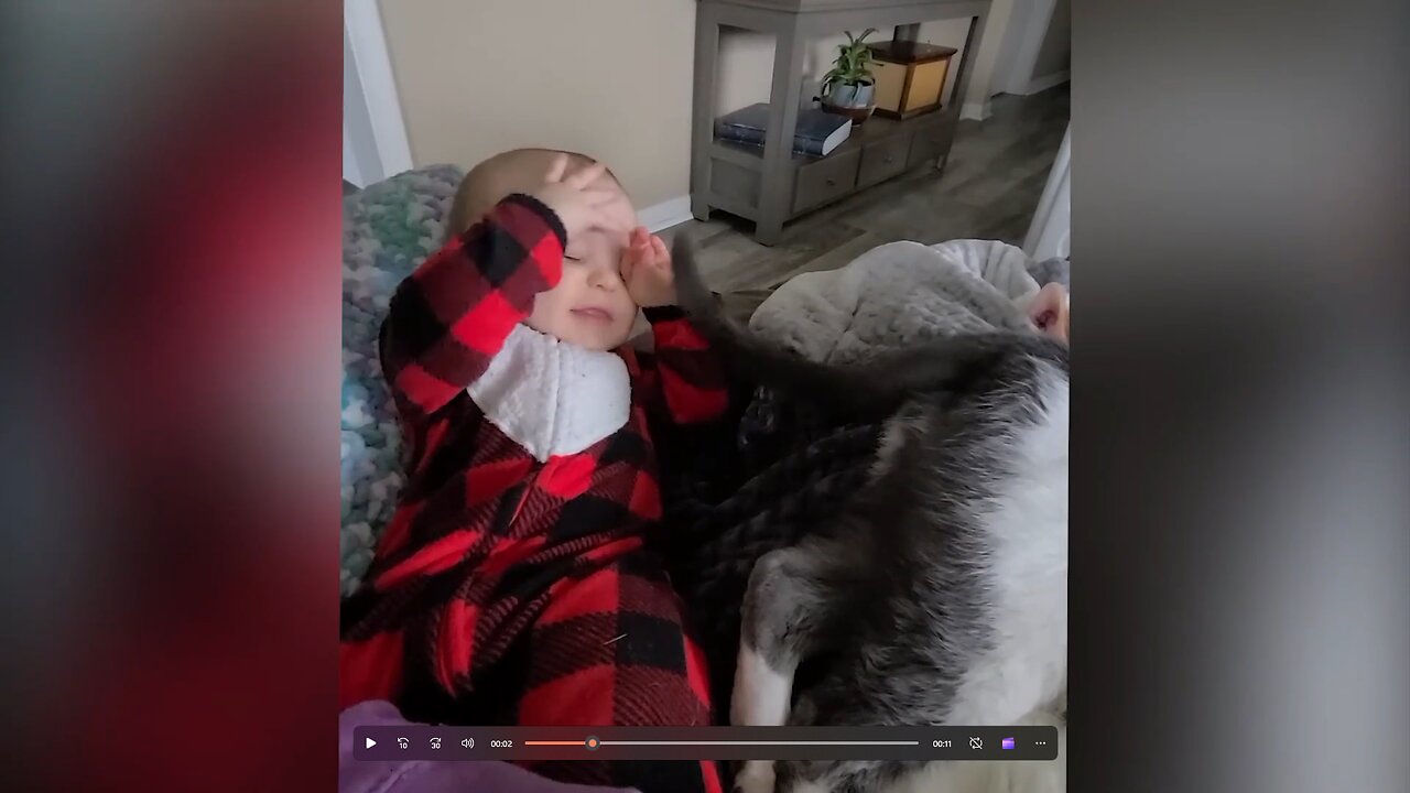 The cat is tickling the baby with its tail