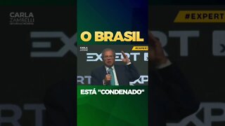 “O Brasil está "condenado".😔Calma gente. 🤣O Brasil está condenado a crescer 10 anos seguidos.