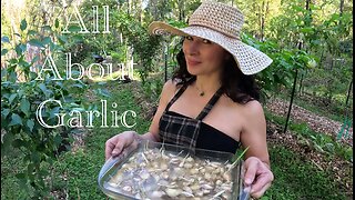 All About Garlic/Soaking Before Planting/Hardneck or Softneck?Garlic/Relaxing Gardening