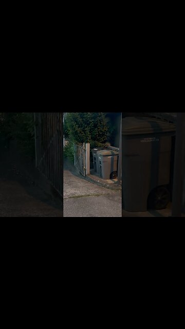 Raccoon City Vancouver, BC