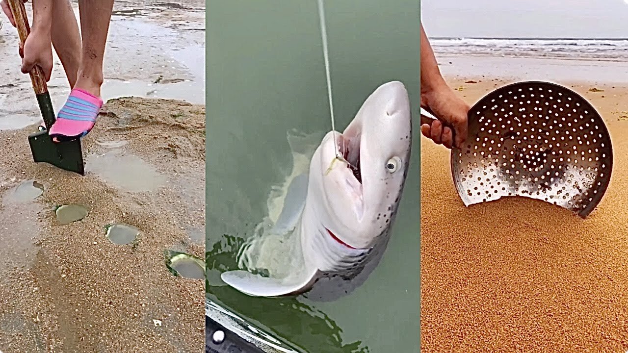 The Most Unique Catch of Marine Animals...This type of animal is still rare