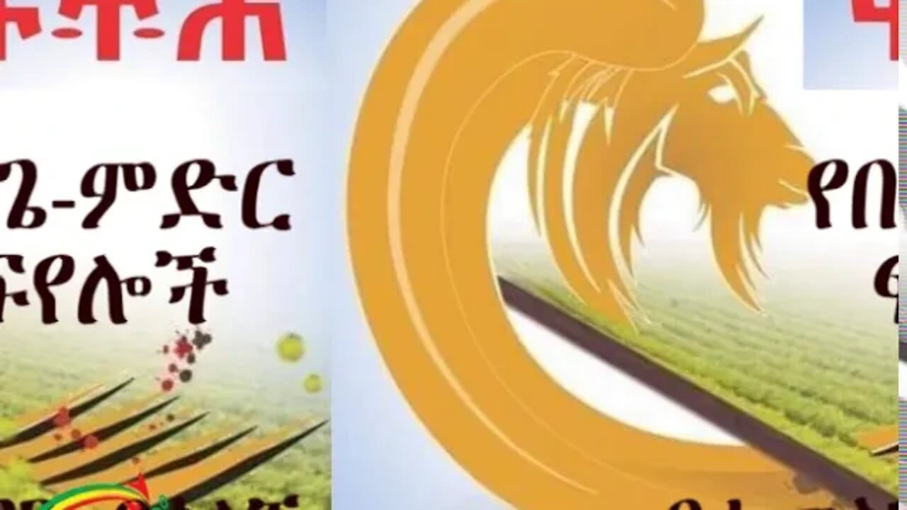 Ethio 360 Biruk Yibas Tirka የበጌ-ምድር ፍየሎች በተመስገን ደሳለኝ