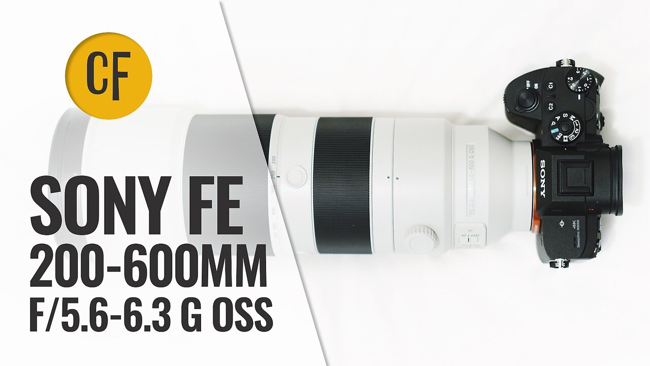 Sony FE 200-600mm f/5.6-6.3 G OSS lens review with samples (Full-frame & APS-C)