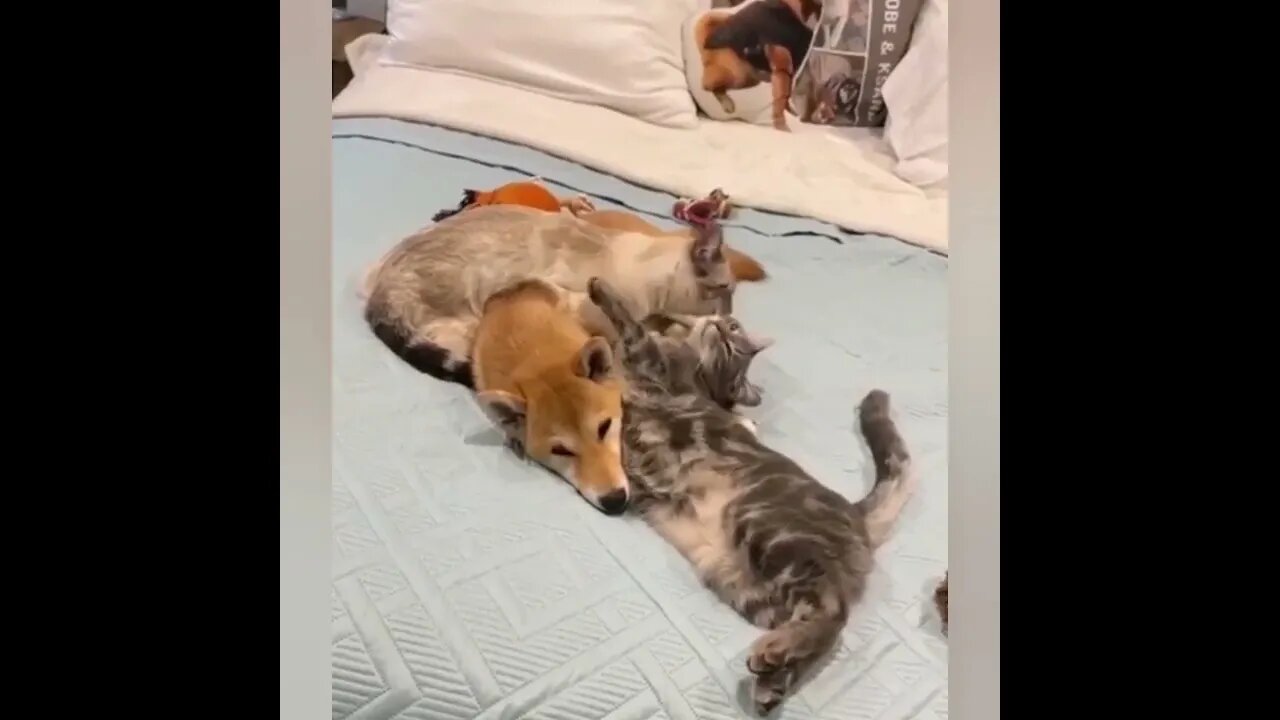 Не помешал?😻