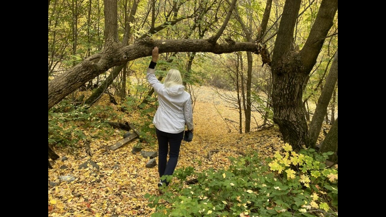 A walk in the park. We can get our freedom back.