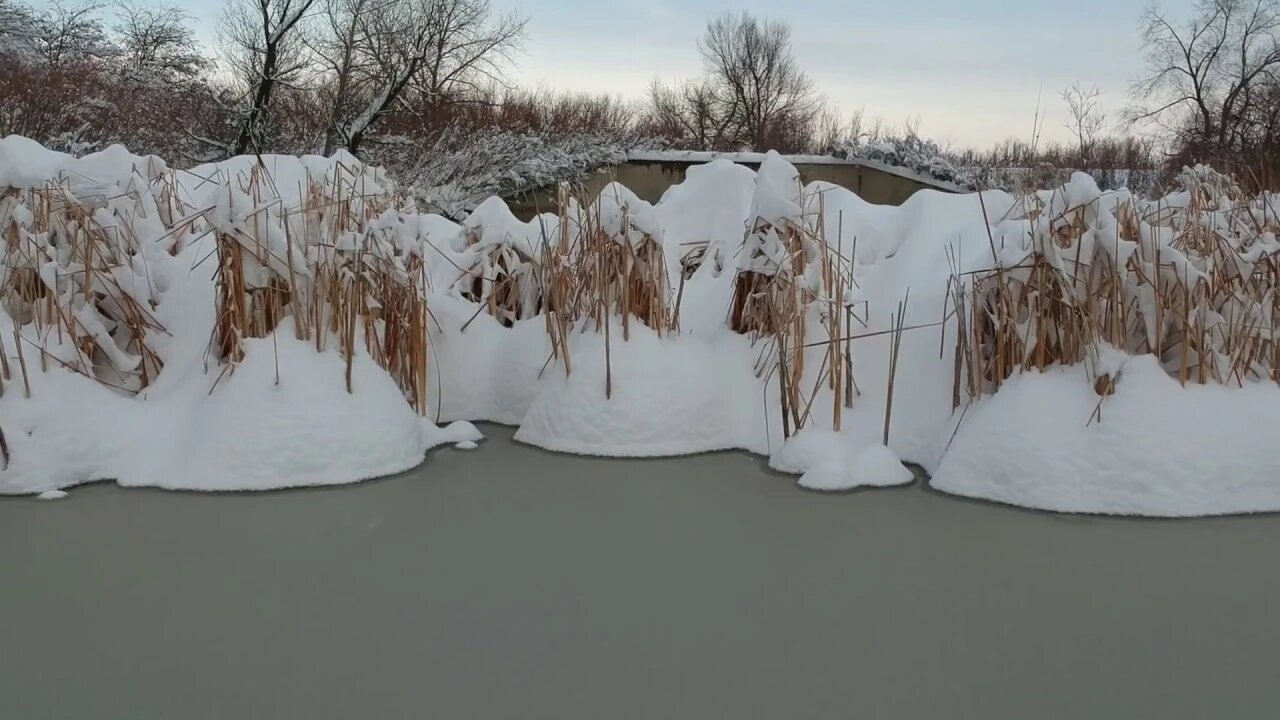 Give Global Warming A Chance