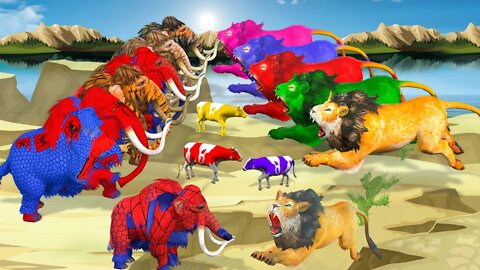 5 mammoth elephants vs 5 zombie lions attack cow cartoon saved by Mammoth Elephants Animal Revolt