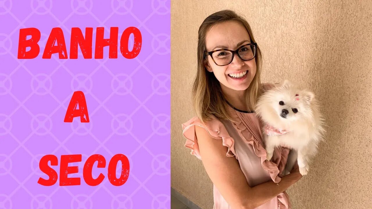 Banho a Seco | Como dar banho a seco no Cachorro/Cão/Animal/Pet. Sem precisar do pet shop