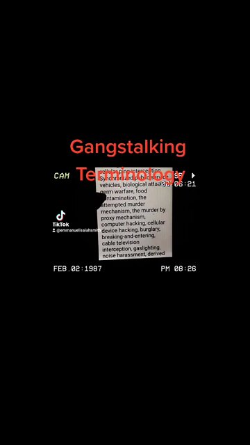 Gang-stalking in Action : The TikTok Edition on YouTube : Gang-stalking Local Terminology