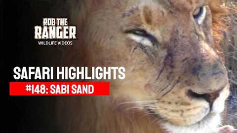 Safari Highlights #148: 09 - 12 June 2012 | Sabi Sand Nature Reserve | Latest Wildlife Sightings