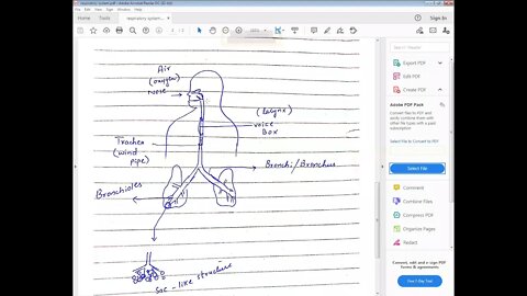SCIENCE CLASS 7 5 04 2021