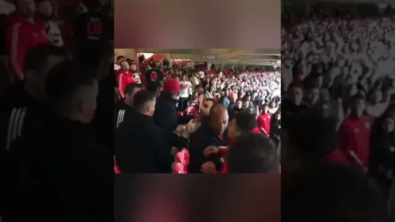 Torcedores brigam no Morumbi após criança comemorar gol do Corinthians contra o São Paulo #shorts