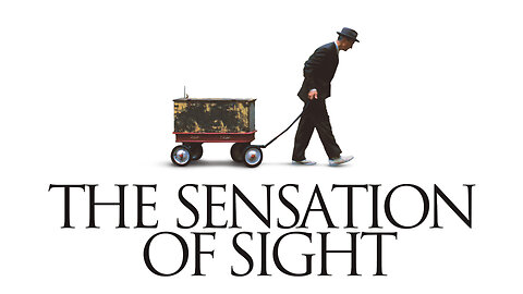 The Sensation of Sight | Official Trailer | Monterey Media