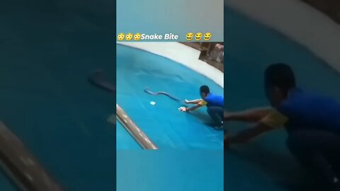 brave or mad🐍🐍🐍🐍🐍😵😫#MADE ME SMILE#HILARIOUS#FUNNY#SHORTS
