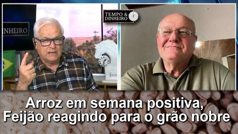 Arroz em semana positiva, Feijão reagindo para o grão nobre