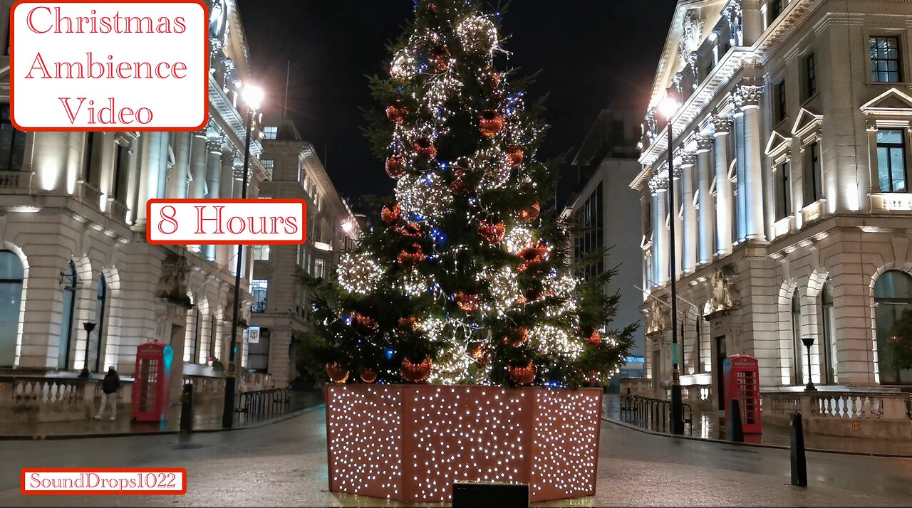 8-Hour Festive Forest | All-Night Christmas Tree Magic
