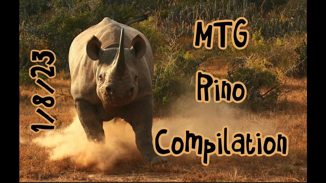 MTG RINO Meme Compilation