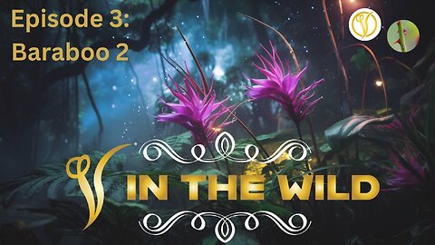 V in the Wild Ep. 3 | Baraboo 1 Recap