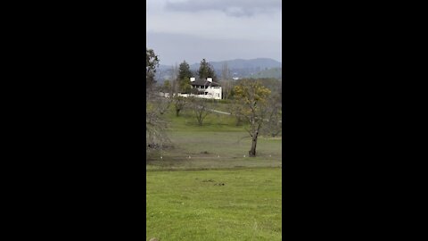 Tao House with a View
