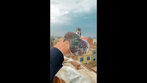 High in air