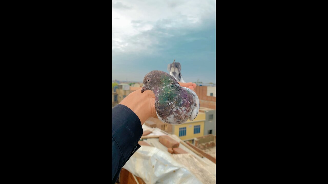 High in air