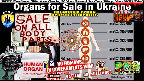 Gene Decode - Ukraine's Evil Secrets: organ harvesting, human- child trafficking, biolabs