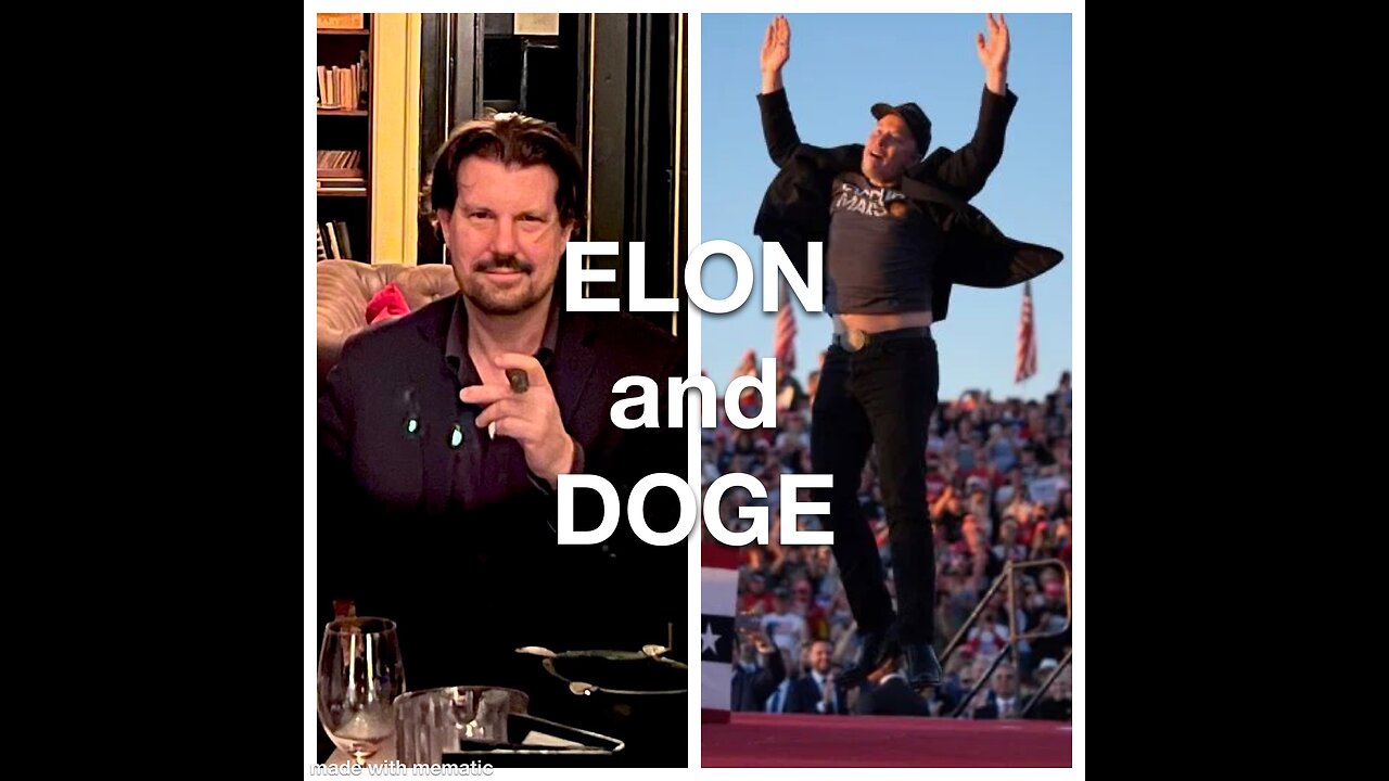 Elon Musk and DOGE