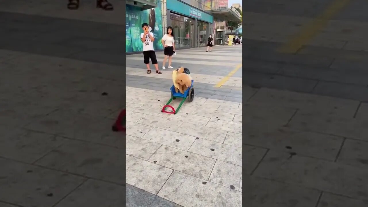 At Last ! Twin Flames Discovery , # short