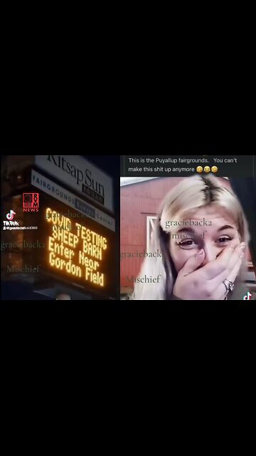 WAIT, WHAT? They Actually Had COVID Testing In A Sheep Barn?