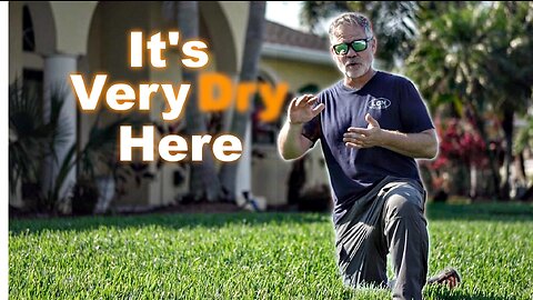 Dry Lawn Watering Tips - Florida to Texas