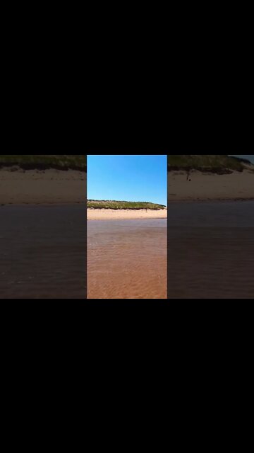 The beach during a heat wave