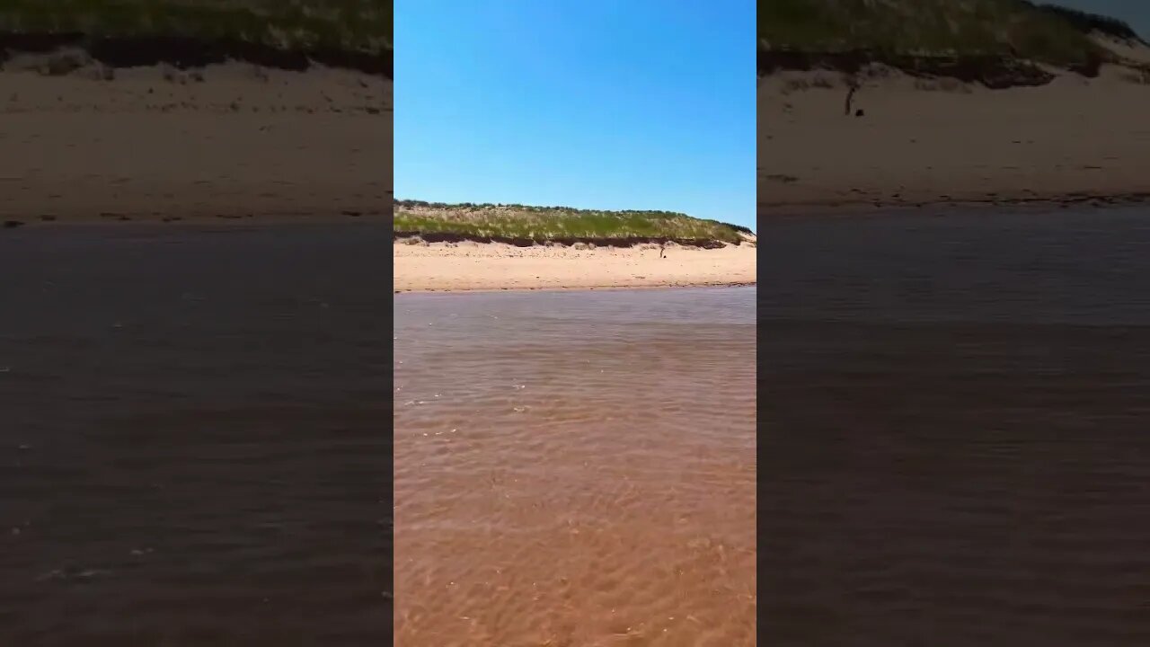 The beach during a heat wave