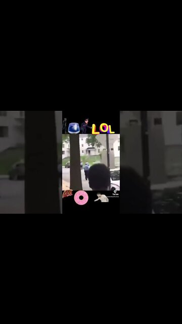 Watch Mario Bro get away from the cops! LOL!