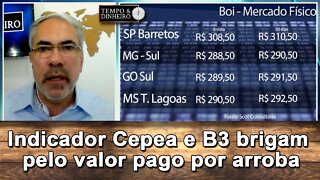 Boi gordo: indicador Cepea e B3 brigam pelo valor pago por arroba