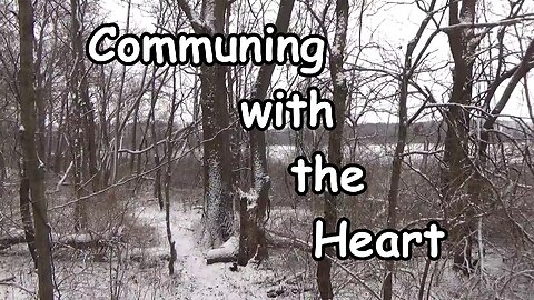 Communing With the Heart: Psalm 4