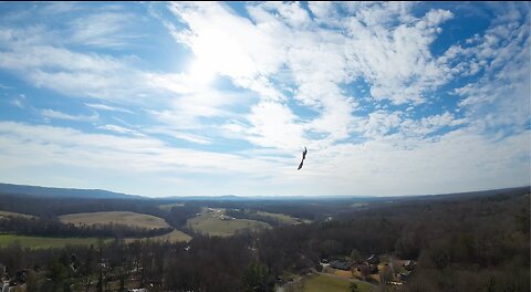 Sunday Afternoon Flight - Debussy - Arabesque - No Filters